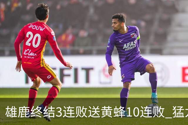 雄鹿终结3连败送黄蜂10连败 猛龙送火箭3连败